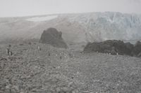 
DSC00193